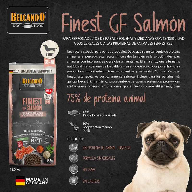 Finest GF Salmon