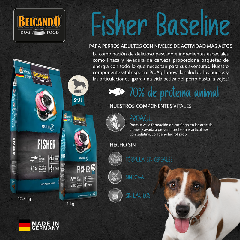 Baseline Fisher