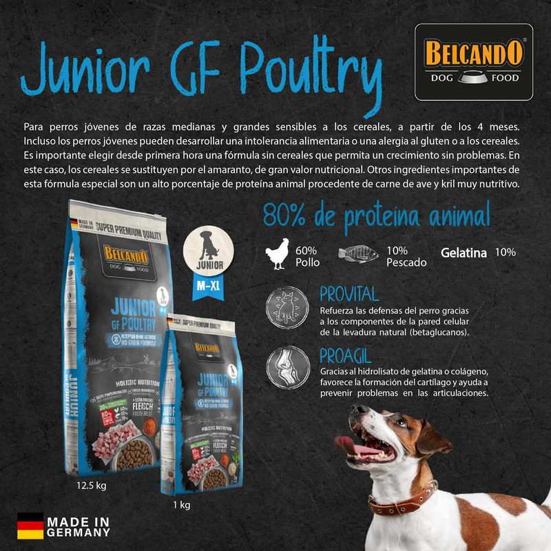 Junior GF Poultry